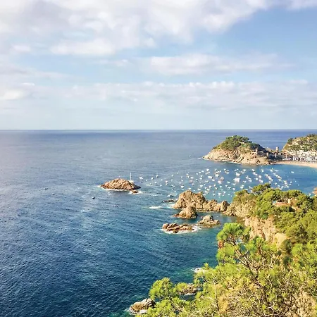 Cozy In With Kitchen Apartment Tossa de Mar